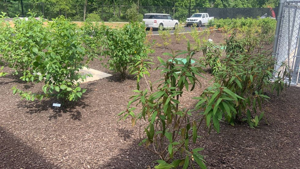 Some food for the animals will be grown on site.