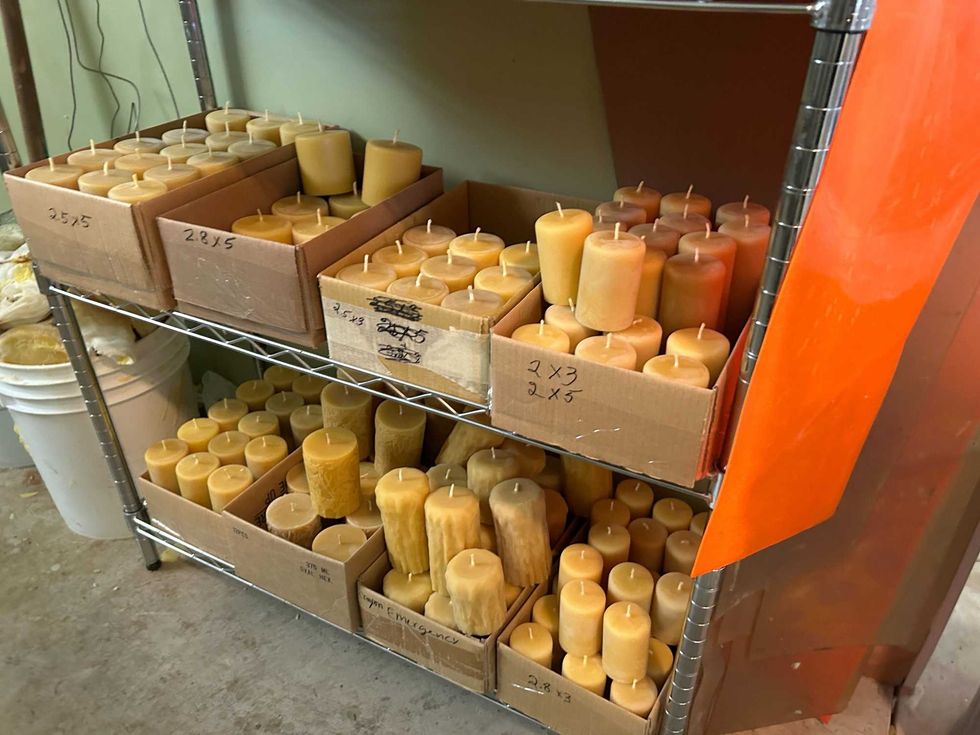 Some of the products Ames makes with their honey bee population.