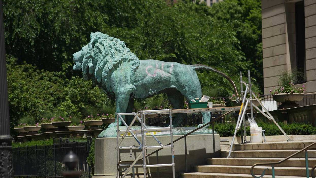 Someone tagged one of the Art Institute of Chicago lions with spray paint.