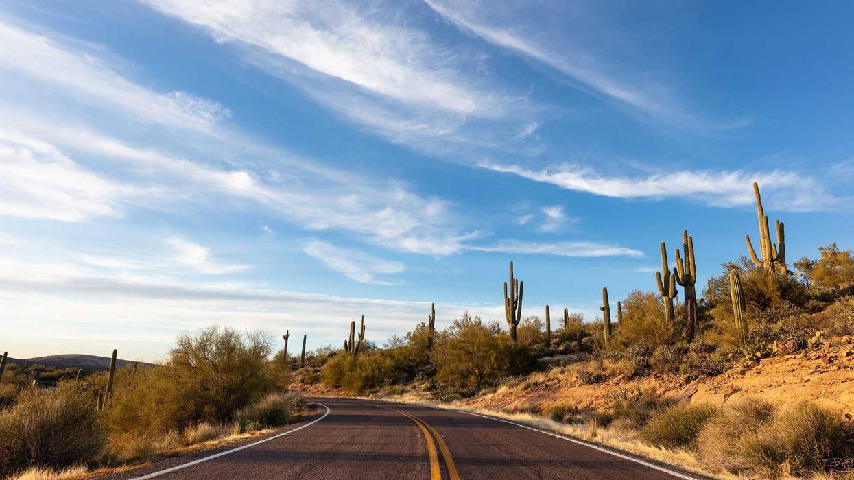 Sonoran Desert in Phoenix, Arizona.