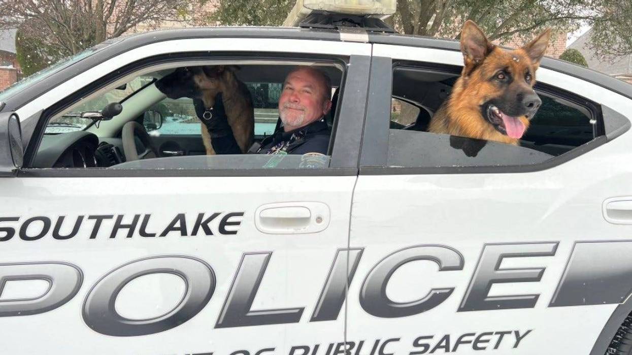 Southlake officer rescues two canine escapees in Thursday's frigid temperatures