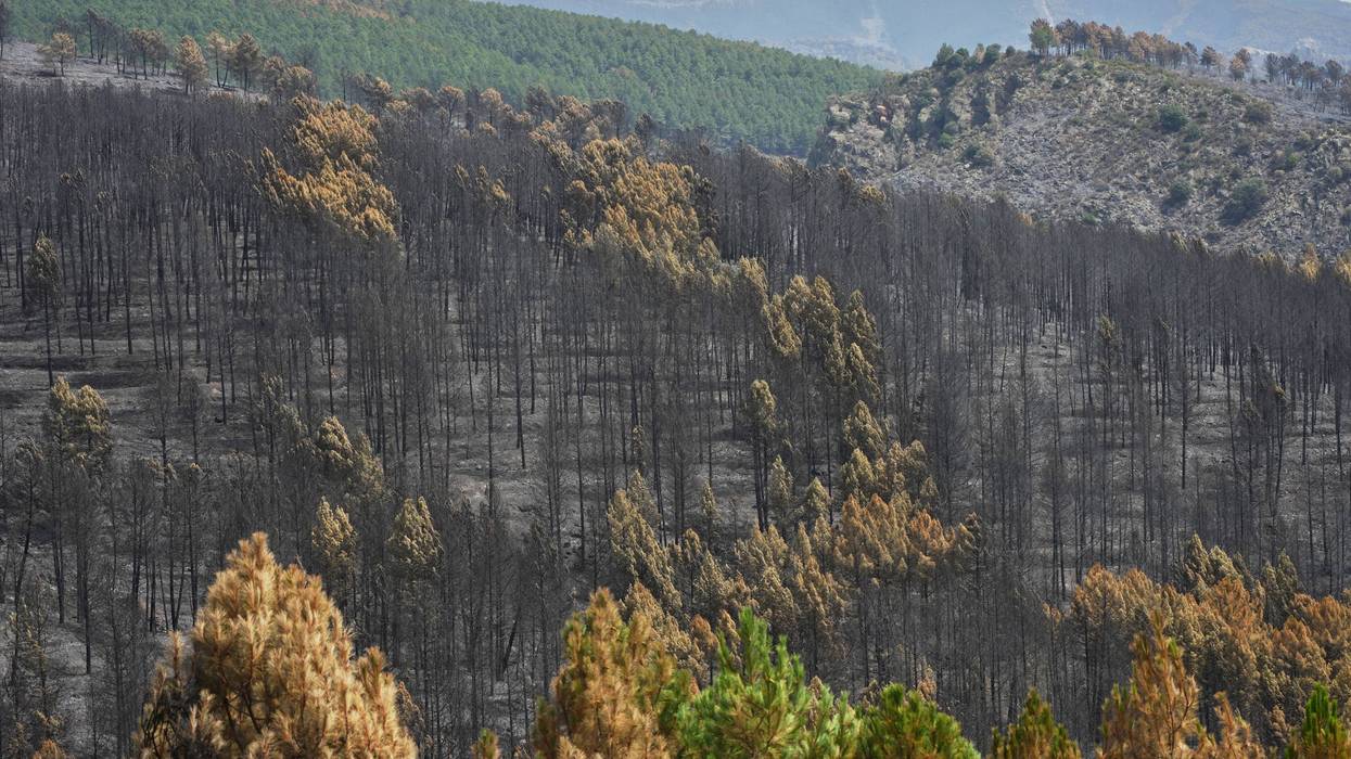 Spain Europe Wildfires 728