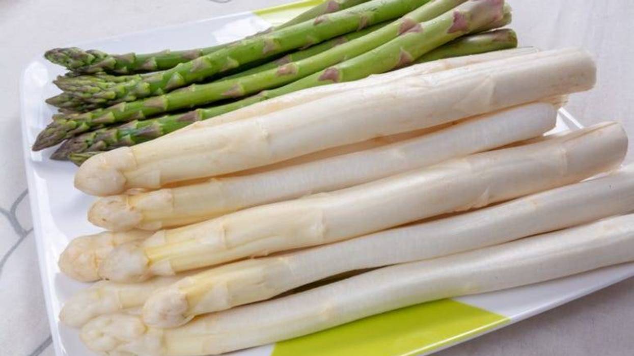 Spargel