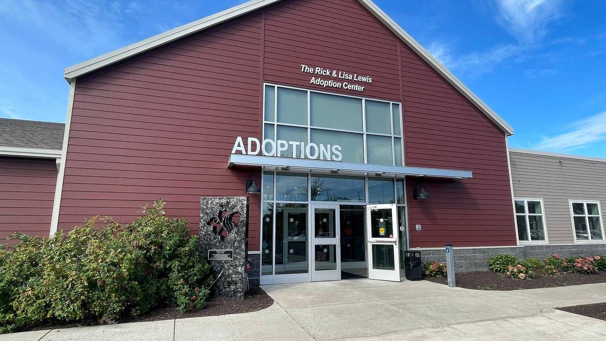 SPCA adoption event