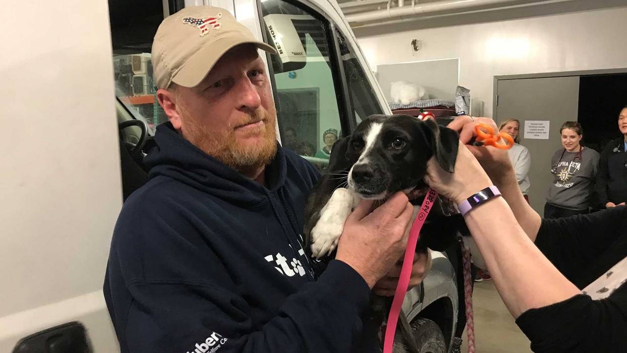SPCA Serving Erie County