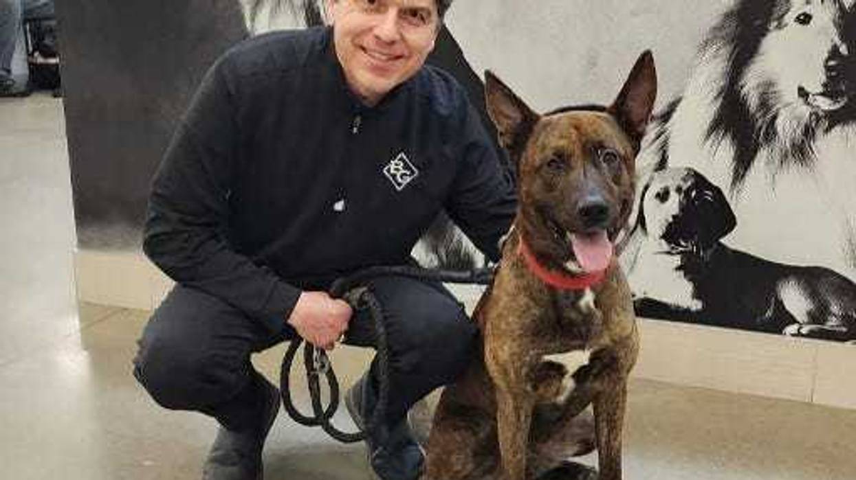 SPCA