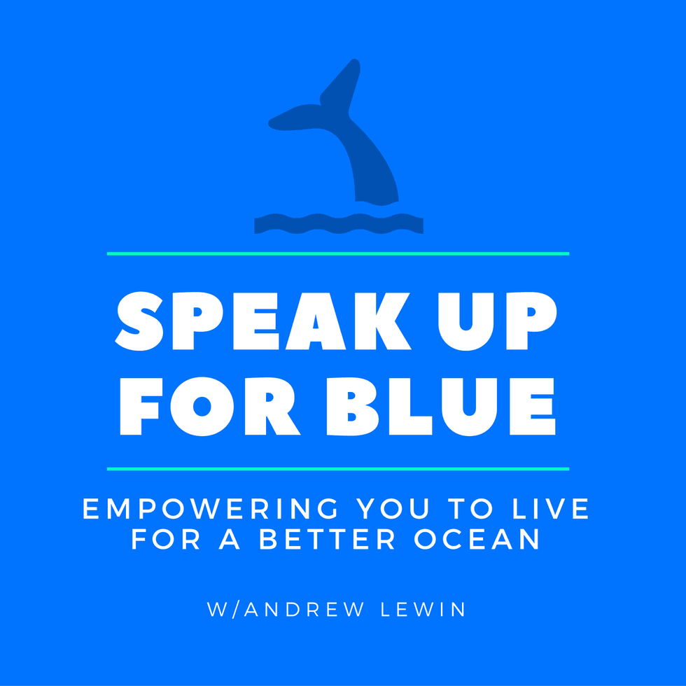 Speak Up for the Ocean Blue