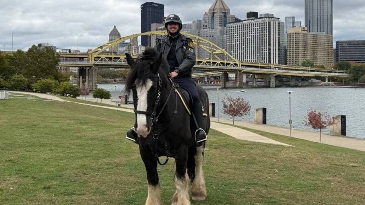 Pittsburgh Police mourns loss of equine officer