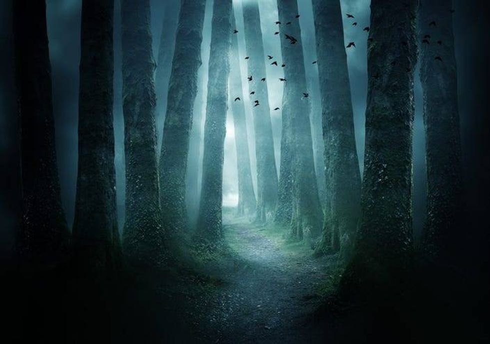 Spooky woods with bats