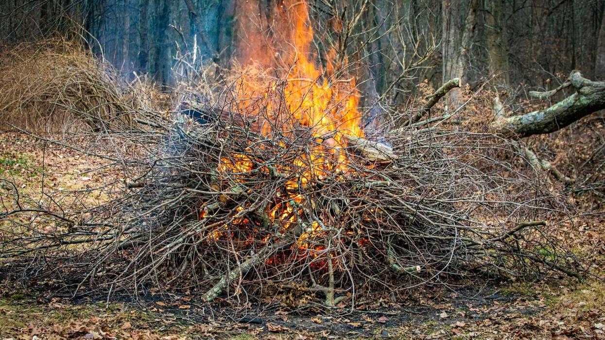 Spring burning restrictions are now in effect in 15 central Minnesota counties which also includes Hennepin and Ramsey Counties.