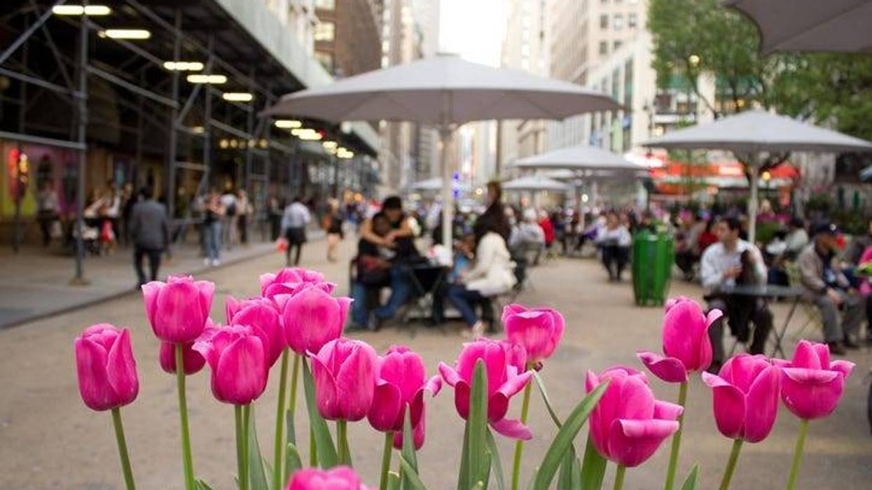 Spring in NYC