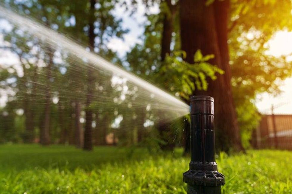 Man sets up motion detector sprinkler to stop neighbors from walking across his lawn