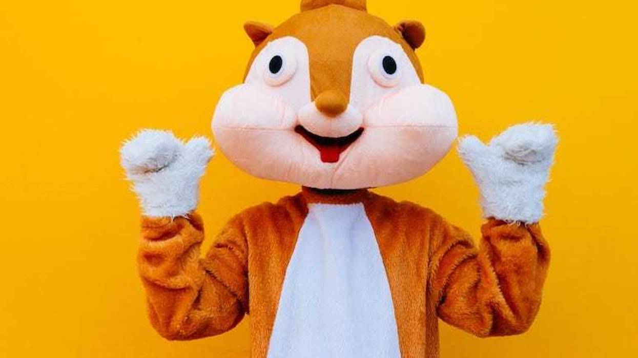 Squirrel, Costume, Paws Up, Orange Background