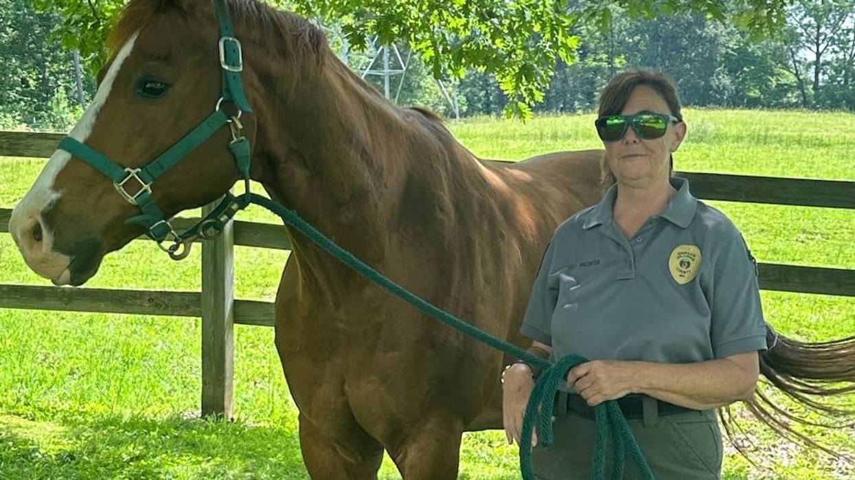 St. Louis County park ranger.