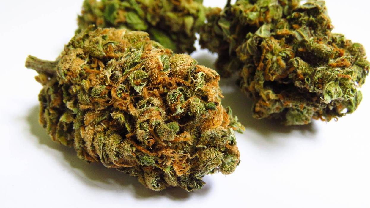 St. Louis stand that sold CBD buds out of huge plastic bags has packed up