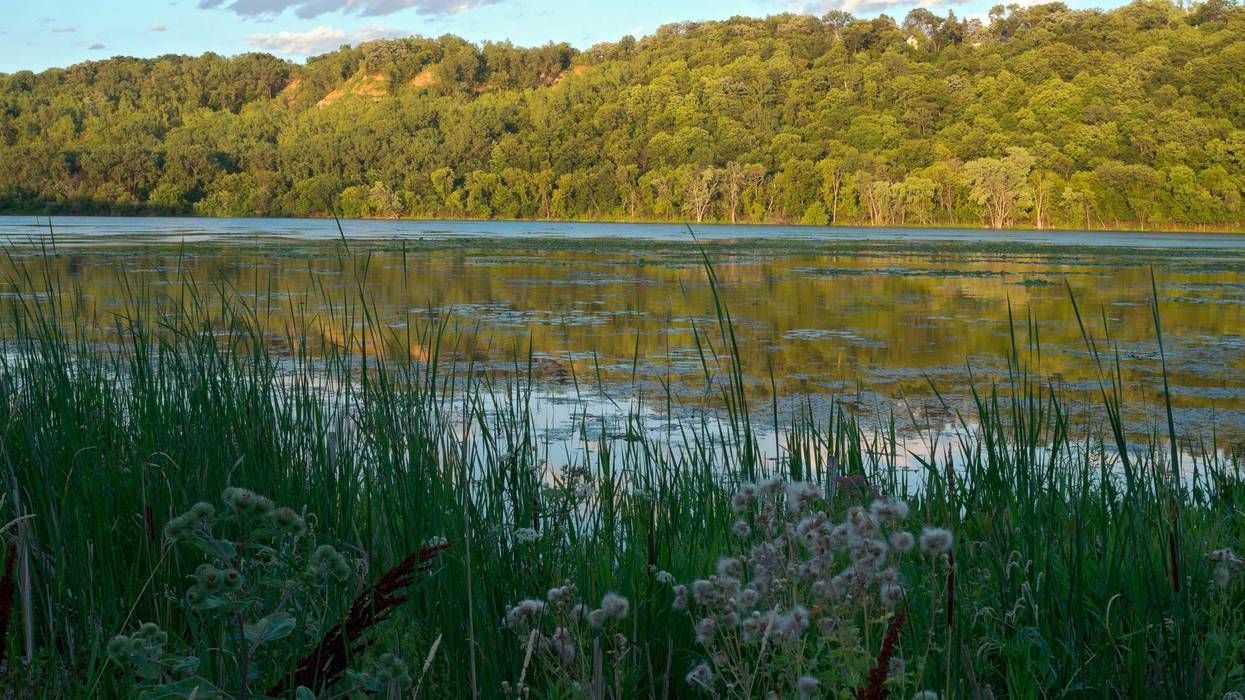 St. Paul leaders are set to co-manage the former Bruce Vento Nature Sanctuary with Indigenous community members.