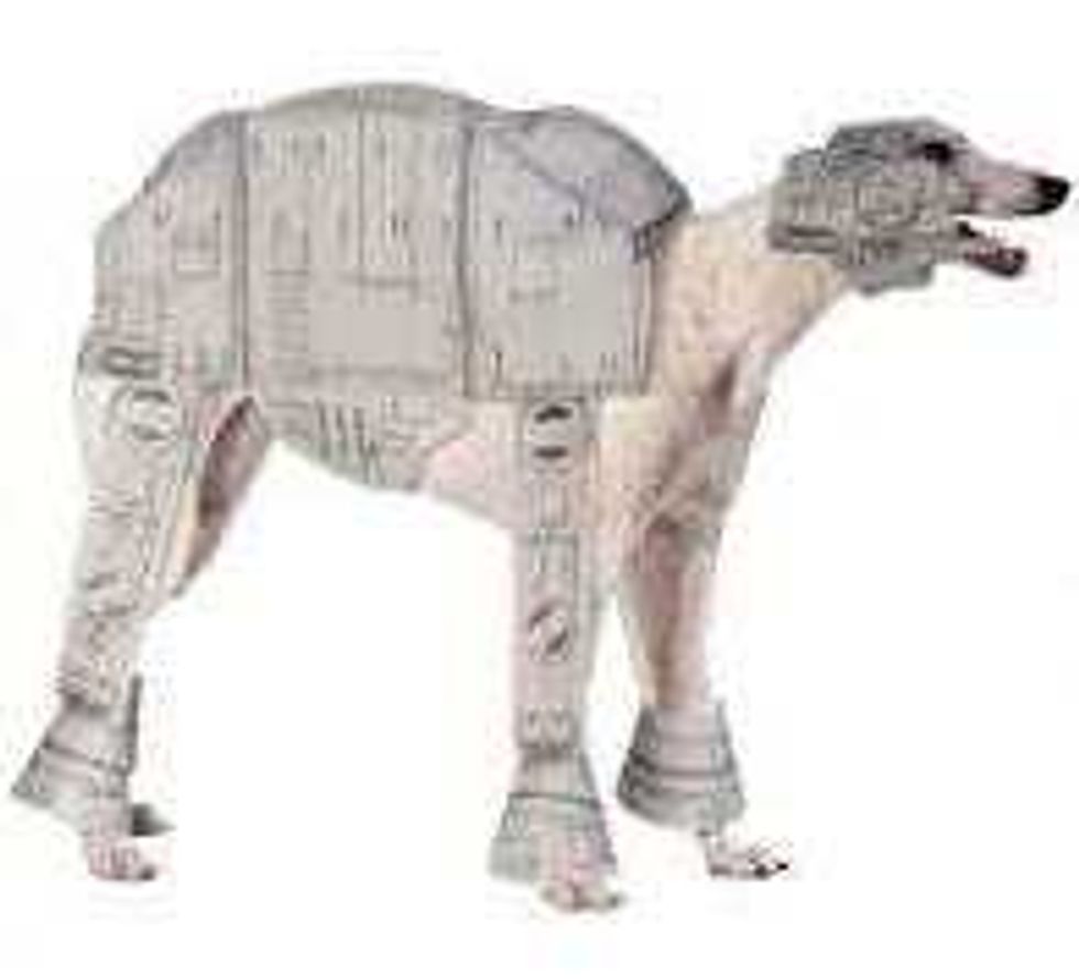 Star Wars dog costume