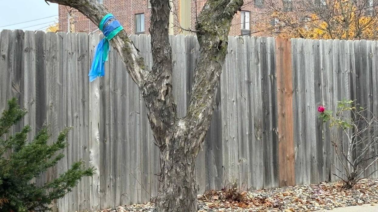 Starting Friday, Minneapolis public works crews will be removing those green and blue plastic ribbons that people put up in the aftermath of the tragedy at Annunciation Church.