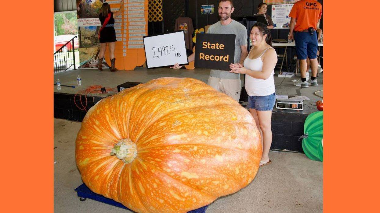 State record pumpkin