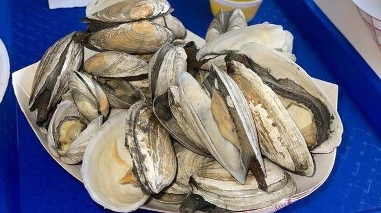 Steamers