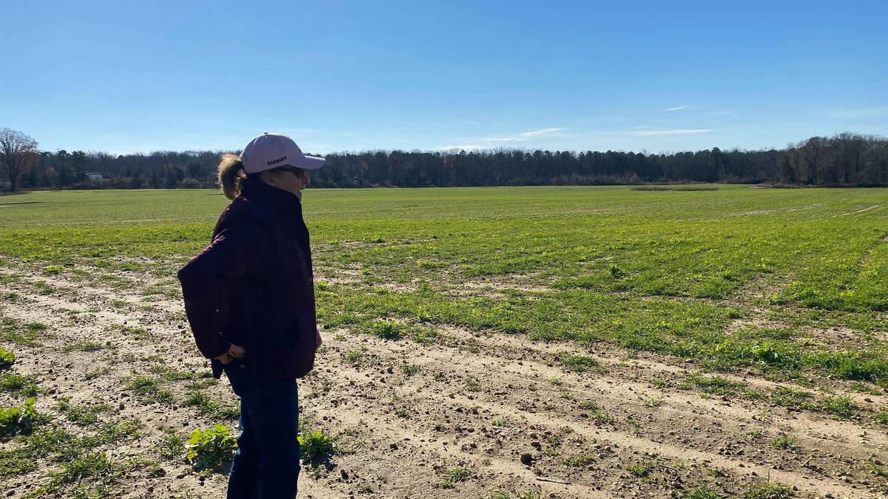 Stella Farms in Camden County.