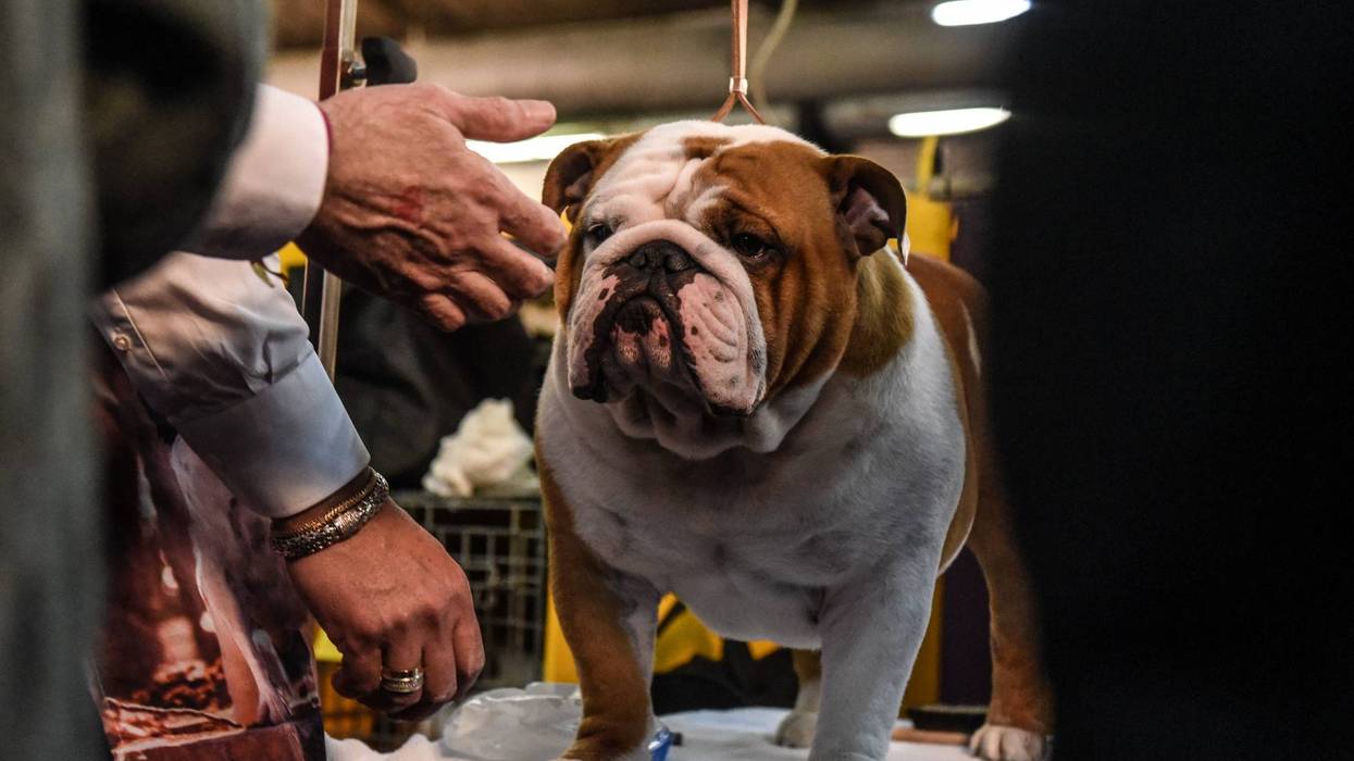 Stephanie Keith / Stringer / Getty images