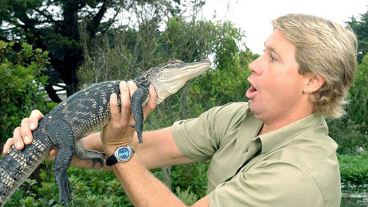 Steve Irwin