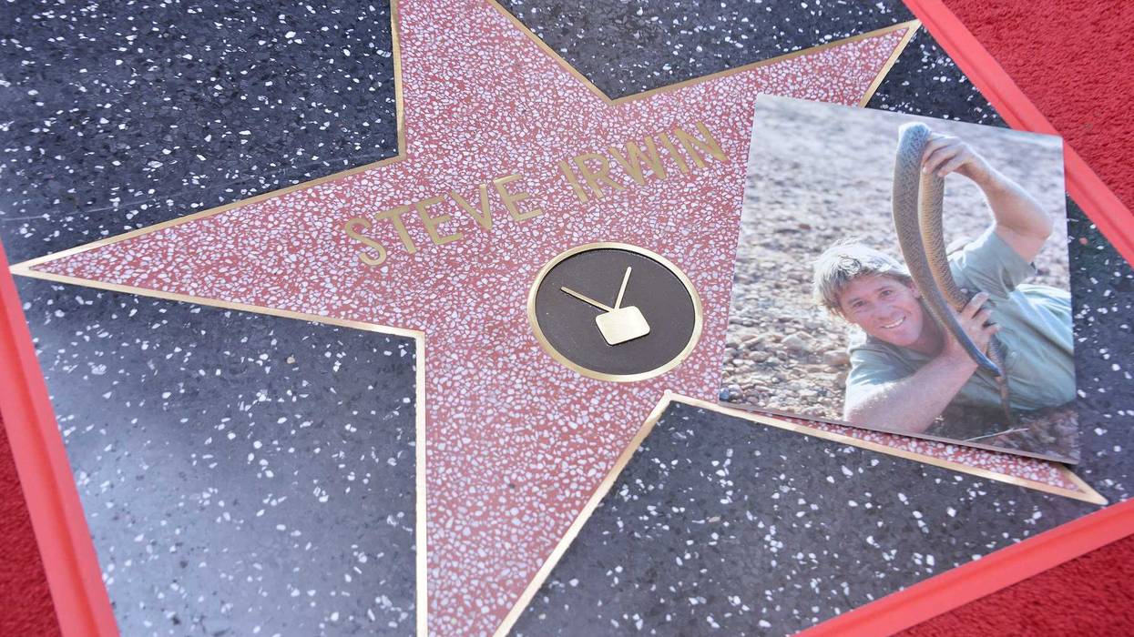 Steve Irwin