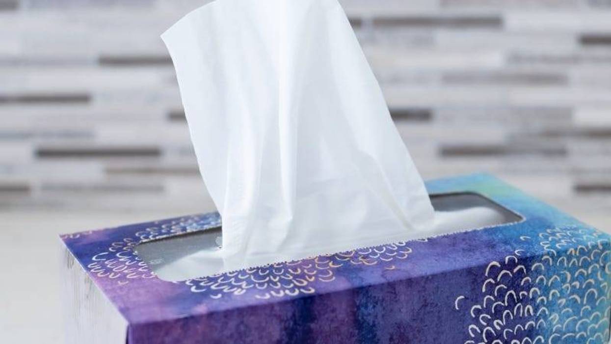 stevehullphotography Getty Images