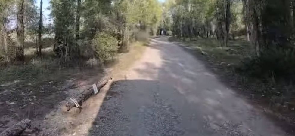 Steven Fabian own photo (permitted) Iphone