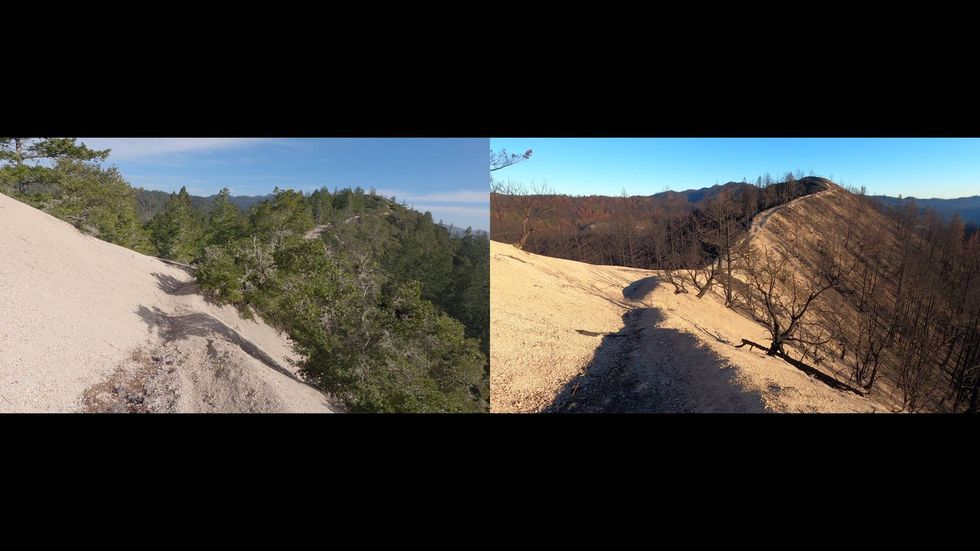 Still image from "Big Basin Will Never Be The Same."