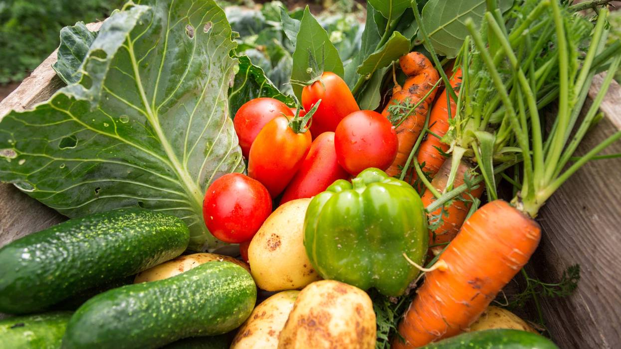 Stock image of fresh produce