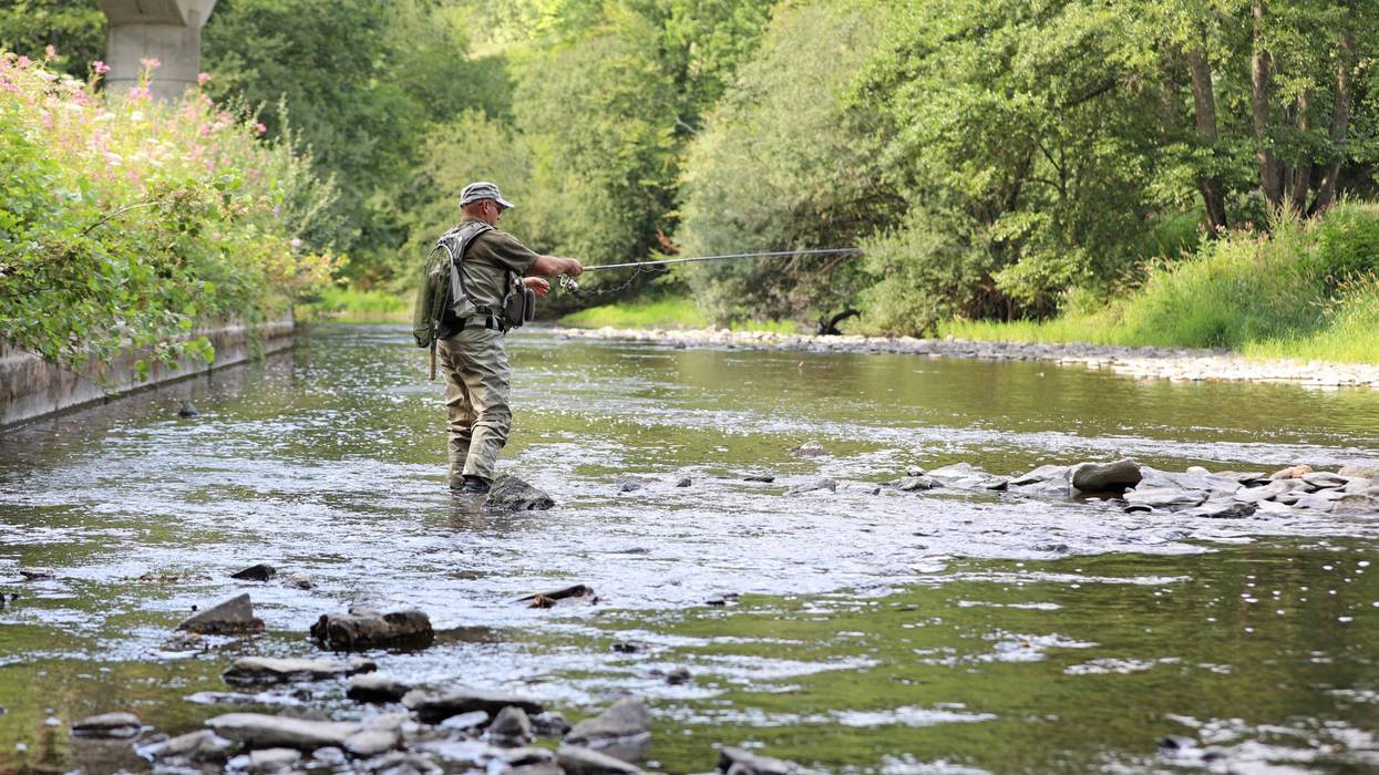 Stock image of man fishing in a stream