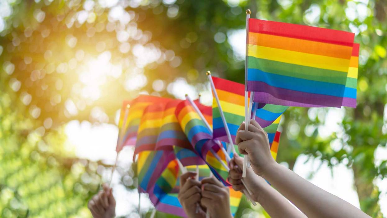 stock image of people waving pride flags