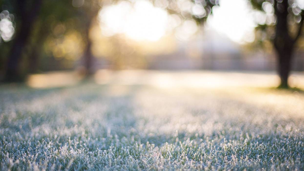 Stock photo of frost on grass