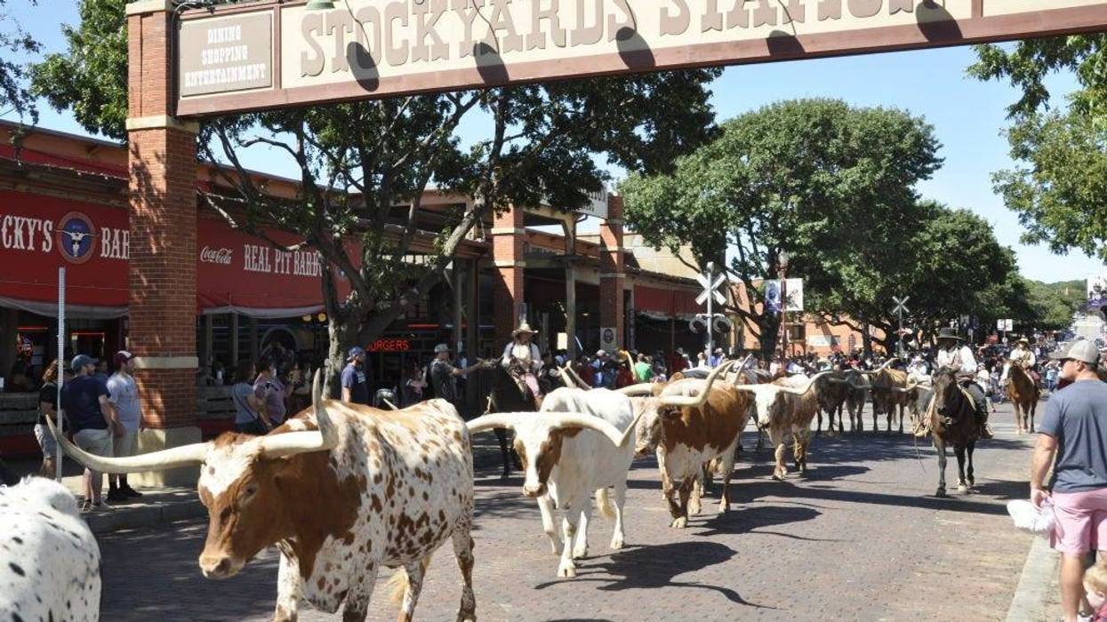 Stockyards