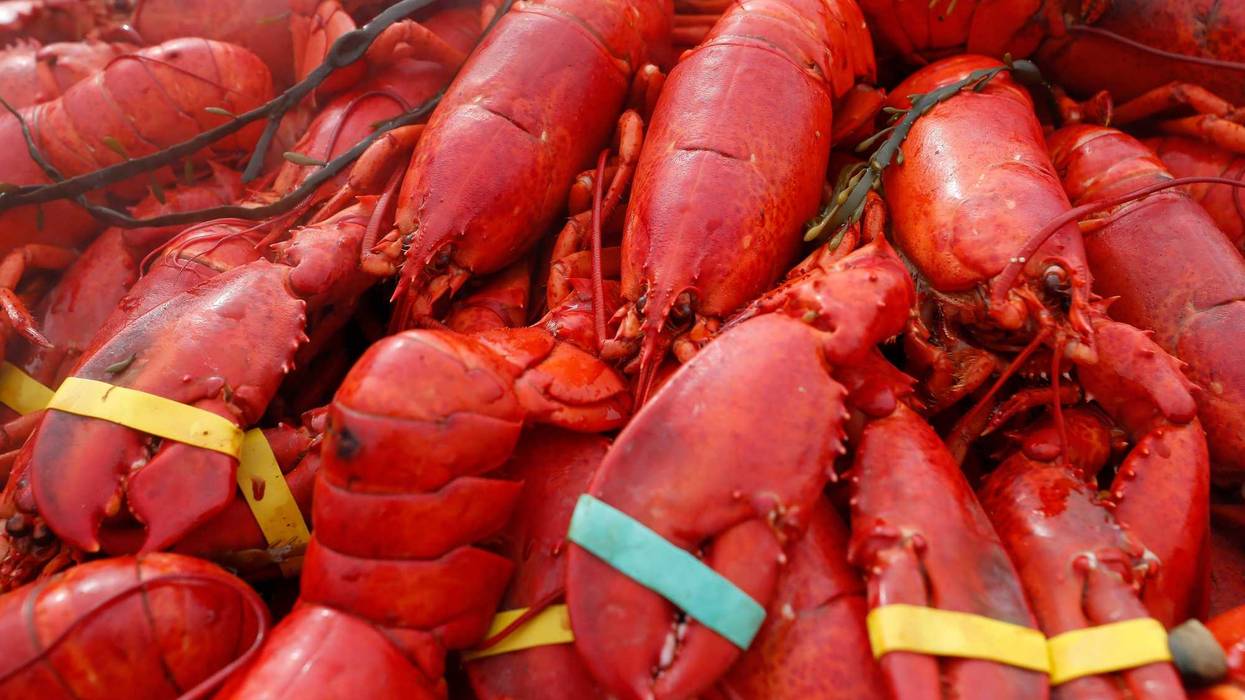 Stolen Seafood