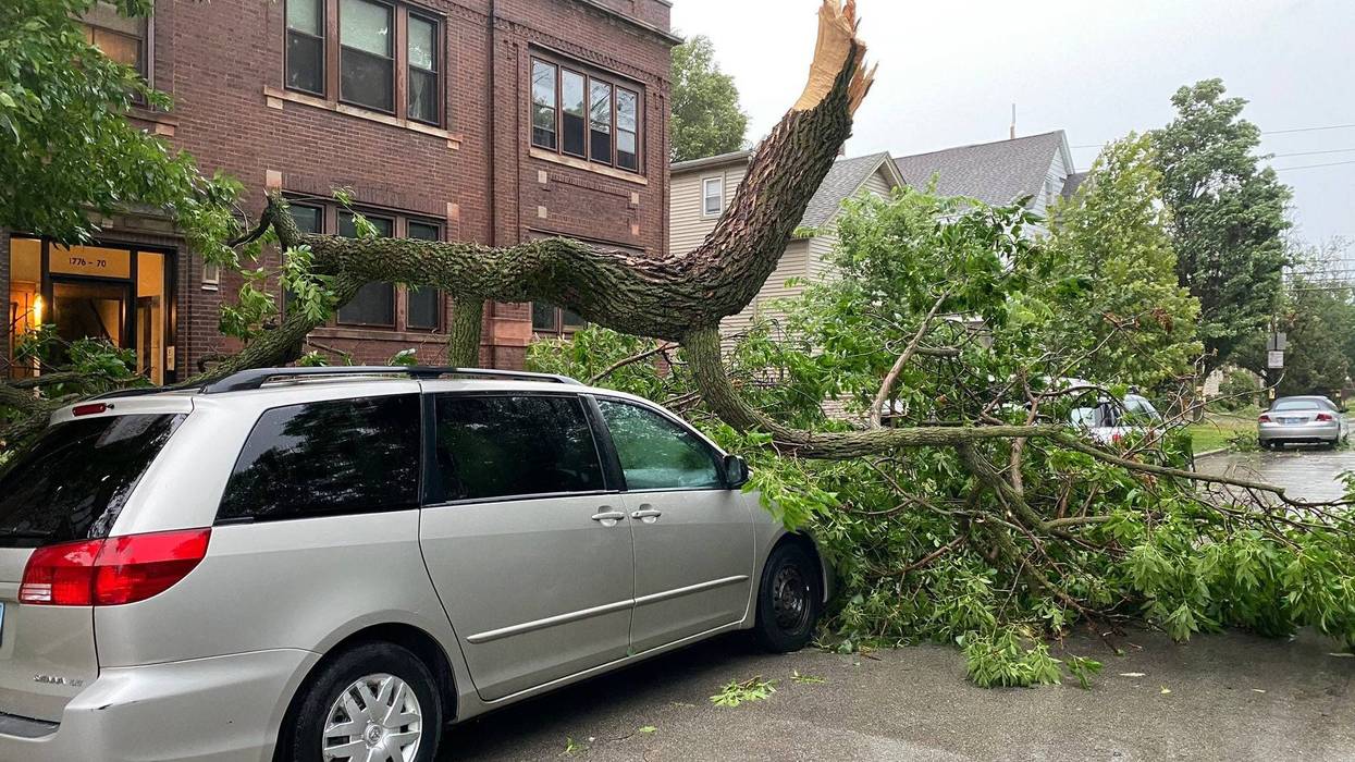 Storm Damage Ravenswood