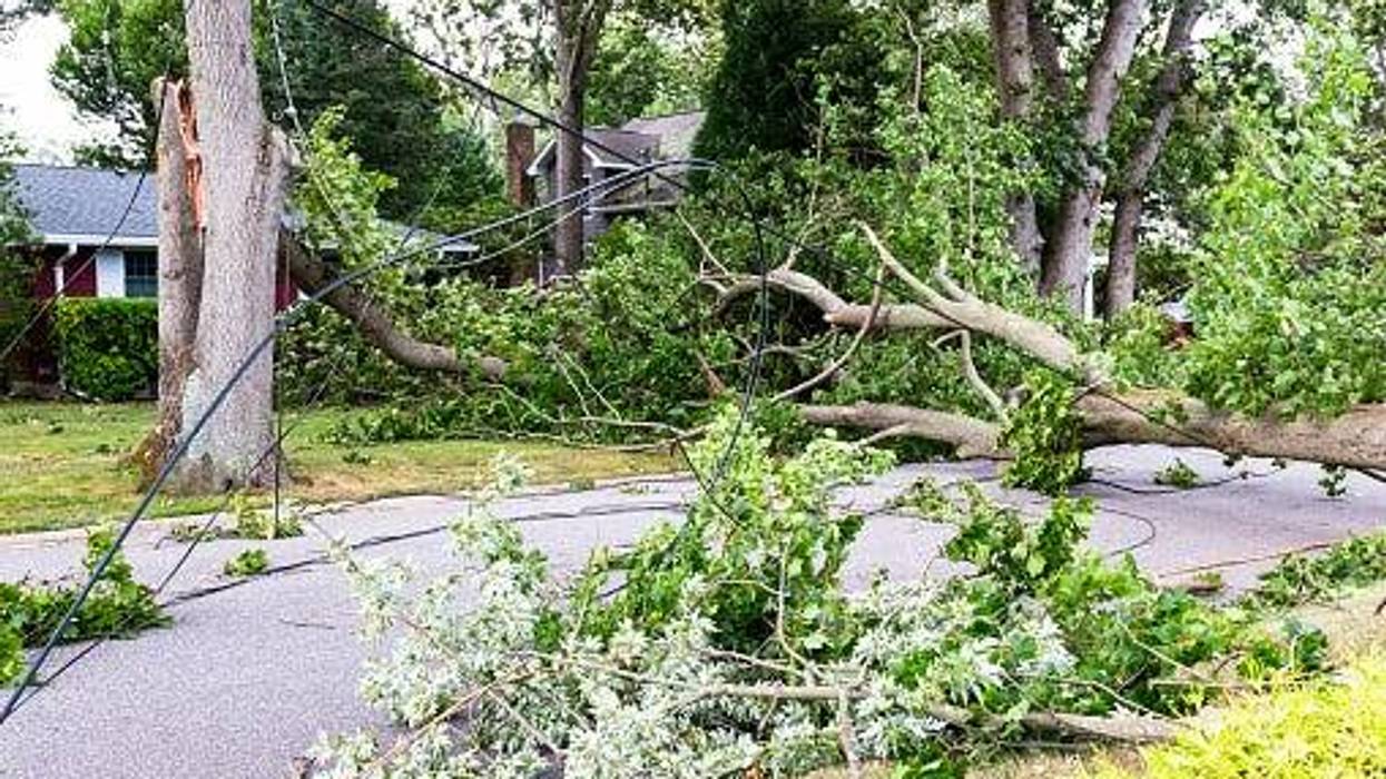 Storm damage