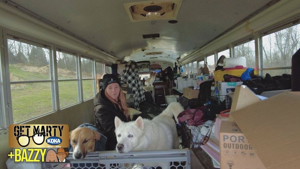 Stranded with 12 dogs, 14 cats, 2 ferrets.