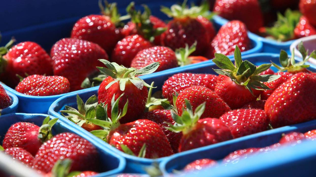 strawberries