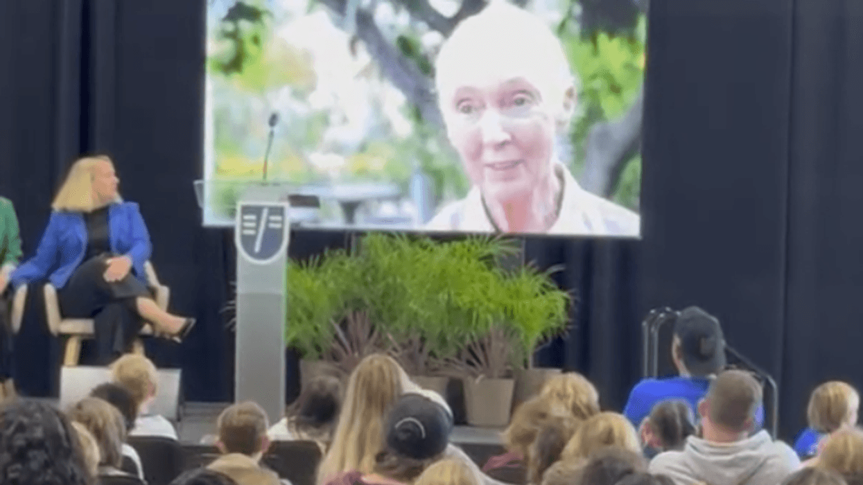 Students and staff at EF Academy in Pasadena watch a video message by Dr. Jane Goodall. Dr. Goodall was supposed to speak at the school when it was announced she'd passed away.