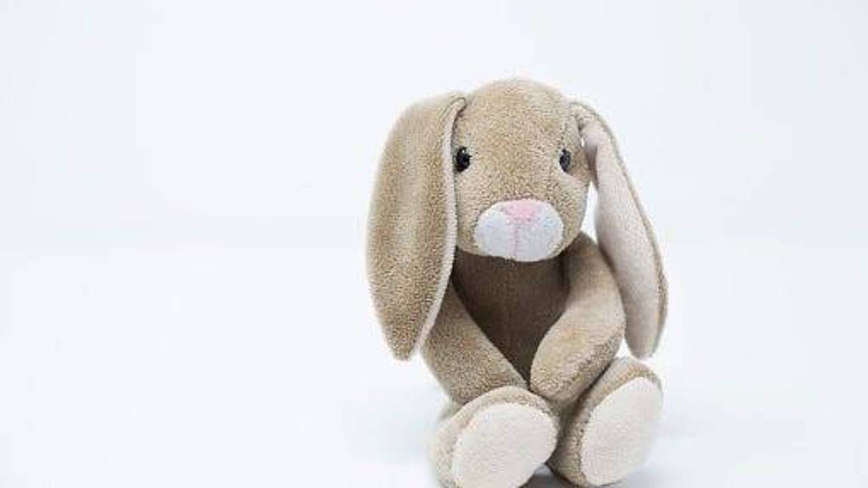stuffed animal