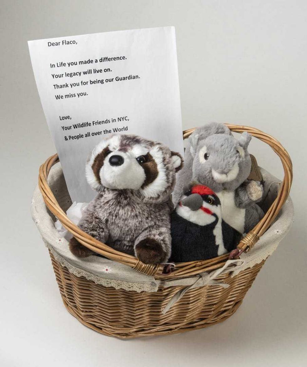Stuffed animals, a basket and note left at the Flaco memorial by an unknown creator.