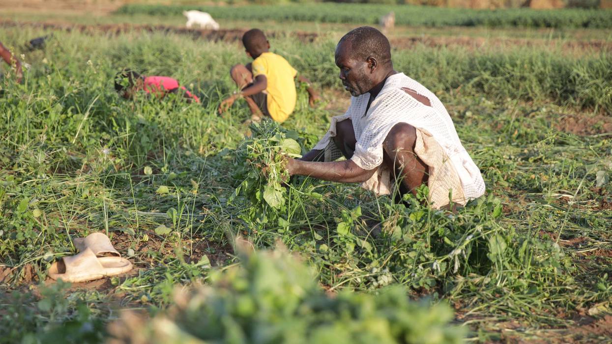 Sudan Daily Life