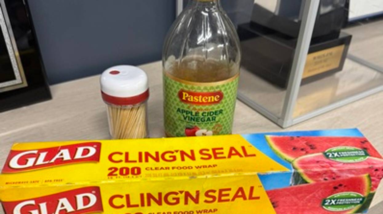 Sue and Kendra's Fruit Fly Remedy