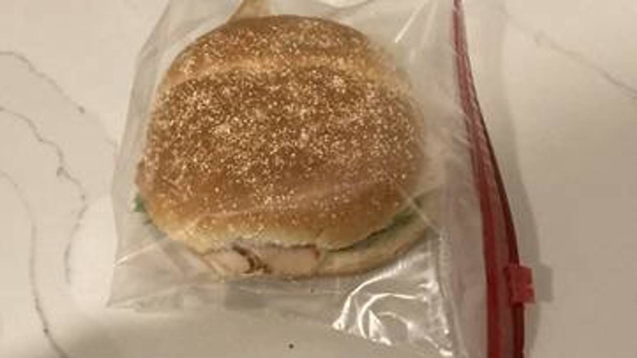 Sue Forgot Her Sandwich At Home