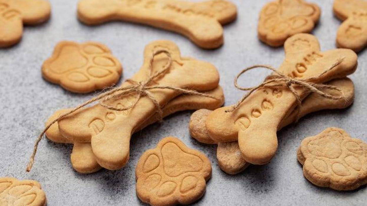 Sues Dog Treat Maker