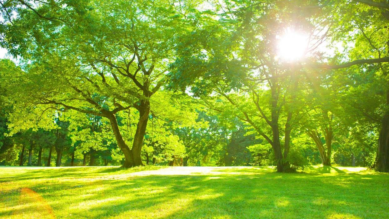 Summer, Summer Sun