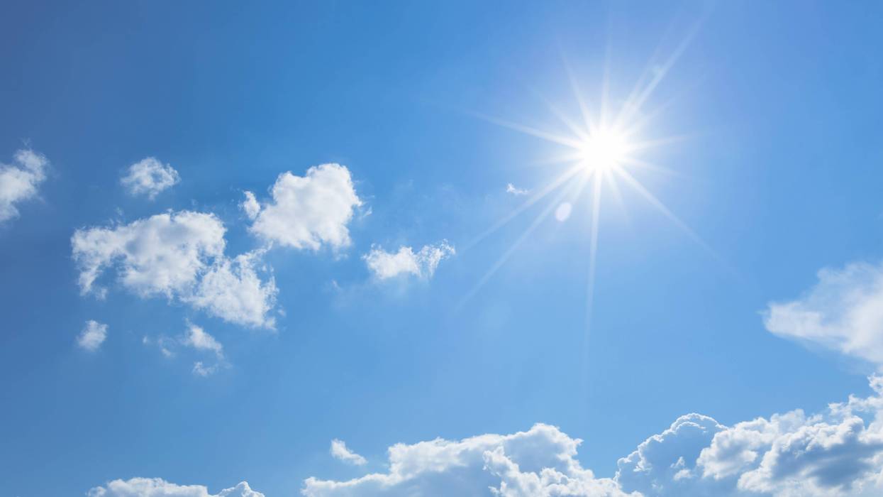 Sunny Day